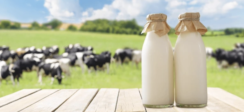 Bottles of milk on a wooden table